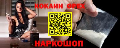 крисы Камышлов