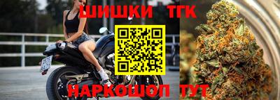 крисы Камышлов