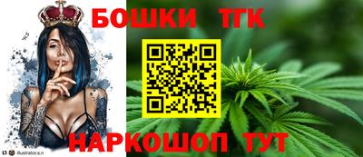 крисы Камышлов