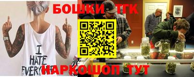 крисы Камышлов