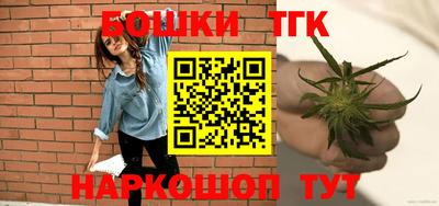 крисы Камышлов