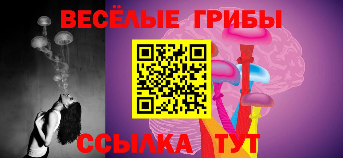 Калач-на-Дону  Псилоцибиновые грибы Psilocybine cubensis  Галлюциногенные грибы Magic Shrooms  Вход с VPN 